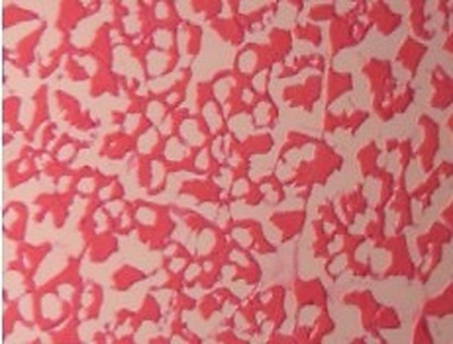 빙결정 크기 — 초저온 급속동결 −60°C