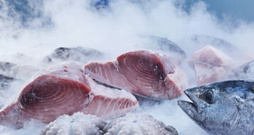 Bluefin tuna loin